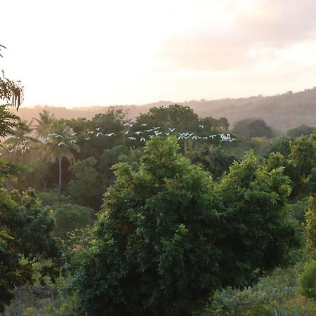 Sumba Nautil Resort Deke Exterior foto